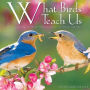 What Birds Teach Us