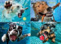 Underwater Dogs: Pool Pawty 1000-Piece Puzzle