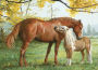Little Higher, Please 1000-Piece Puzzle