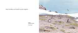 Alternative view 3 of About Habitats: Tundras