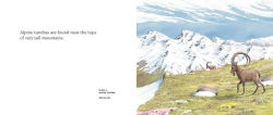 Alternative view 4 of About Habitats: Tundras