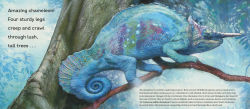 Alternative view 2 of Behold the Chameleon