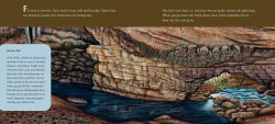 Alternative view 2 of A Place for Bats (Third Edition)