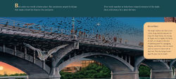 Alternative view 3 of A Place for Bats (Third Edition)