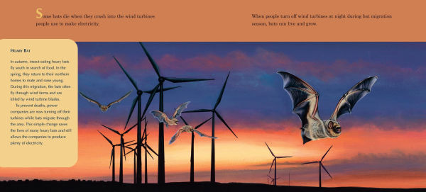 A Place for Bats (Third Edition)