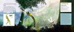 Alternative view 2 of Mega-Predators of the Past