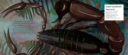 Alternative view 4 of Mega-Predators of the Past