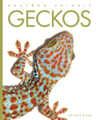 Title: Geckos, Author: Kate Riggs