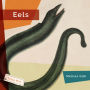 Eels