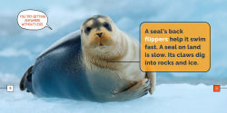 Alternative view 2 of Seals