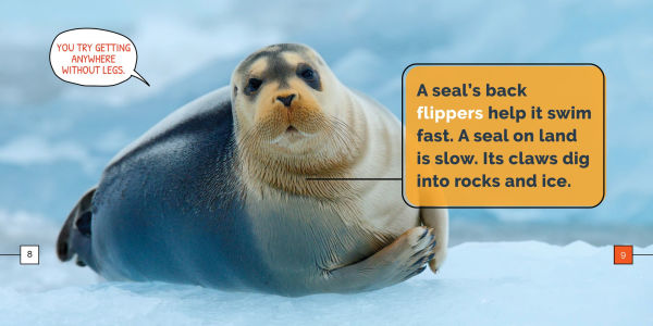 Seals