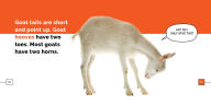 Title: Goats, Author: Kate Riggs