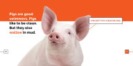 Title: Pigs, Author: Quinn M. Arnold