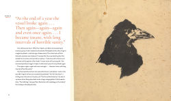 Alternative view 2 of Edgar Allan Poe