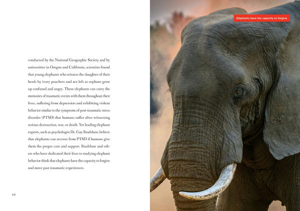 Elephants