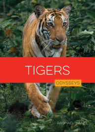 Title: Tigers, Author: Rachael Hanel