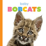 Title: Baby Bobcats, Author: Kim Thompson