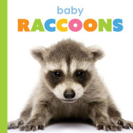 Title: Baby Raccoons, Author: Kim Thompson