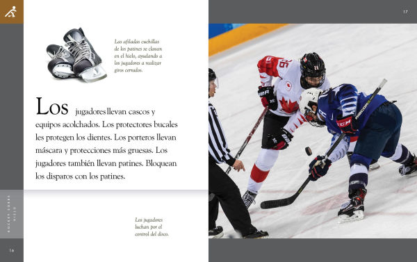 Hockey sobre hielo