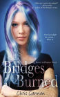 Bridges Burned