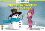 What's the Weather Like Today?
