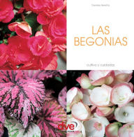 Title: LAS BEGONIAS, Author: Daniela Beretta