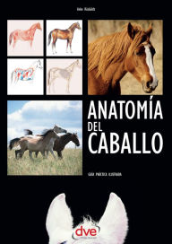 Title: Anatomía del caballo: Guía práctica ilustrada, Author: Anke Rüsbüldt