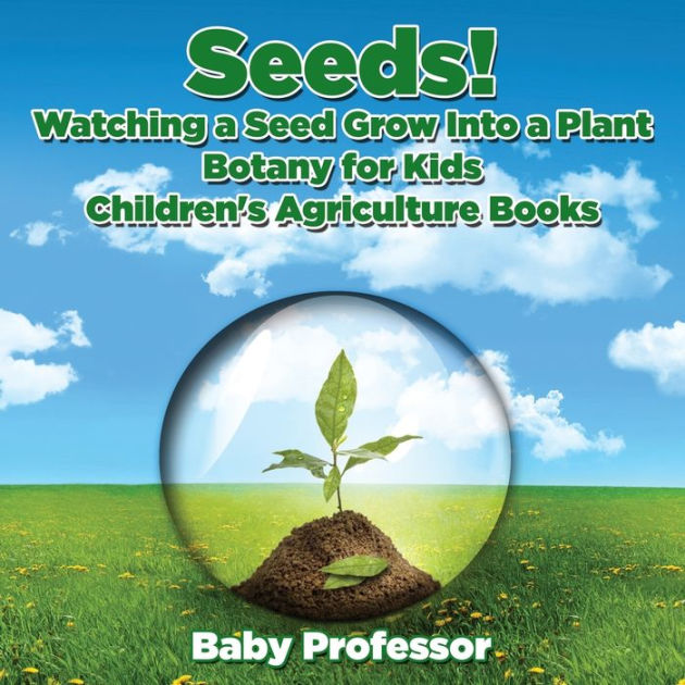 Seeds! Watching a Seed Grow Into a Plants, Botany for Kids Children's