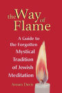 The Way of Flame: A Guide to the Forgotten Mystical Tradition of Jewish Meditation