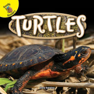 Title: Turtles, Author: Duhaime