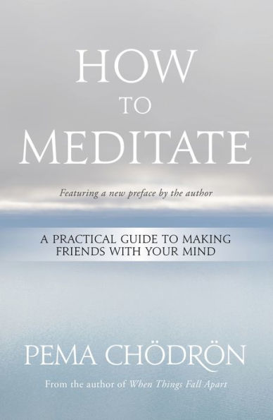 How to Meditate: A Practical Guide to Making Friends with Your Mind