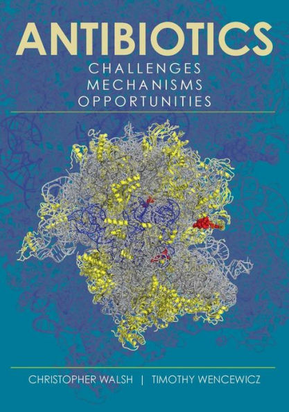 Antibiotics: Challenges, Mechanisms, Opportunities
