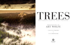 Alternative view 14 of Trees: Between Earth and Heaven
