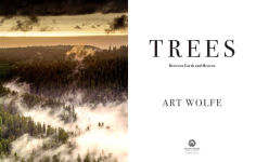 Alternative view 2 of Trees: Between Earth and Heaven