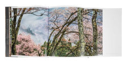 Alternative view 23 of Trees: Between Earth and Heaven