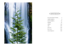 Alternative view 3 of Trees: Between Earth and Heaven