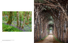 Alternative view 7 of Trees: Between Earth and Heaven