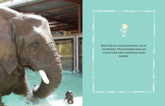 Alternative view 2 of Bubbles: An Elephant's Story