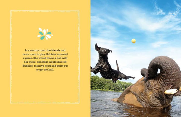 Bubbles: An Elephant's Story