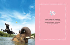 Alternative view 5 of Bubbles: An Elephant's Story