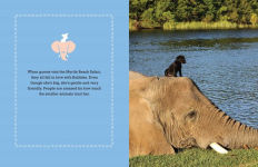 Alternative view 6 of Bubbles: An Elephant's Story