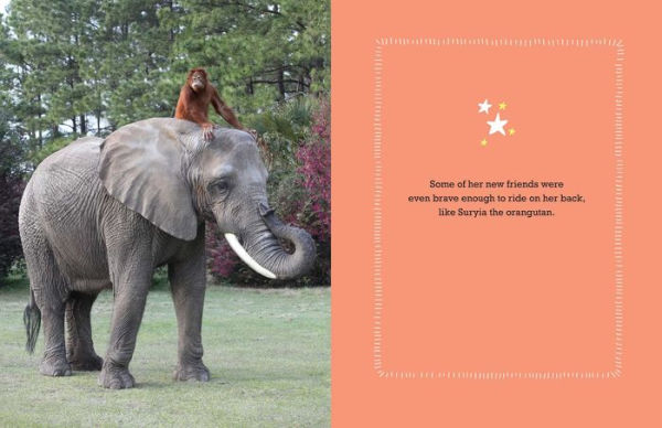 Bubbles: An Elephant's Story