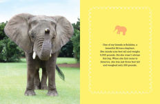 Alternative view 9 of Bubbles: An Elephant's Story