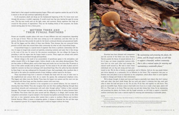 Fantastic Fungi: How Mushrooms Can Heal, Shift Consciousness, and Save the Planet