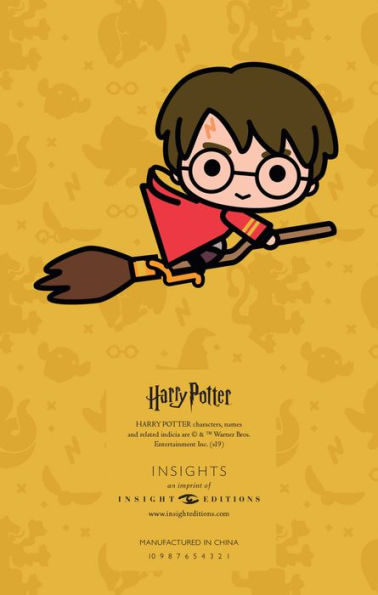 Harry Potter: Spells and Charms Ruled Pocket Journal
