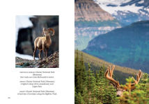Alternative view 3 of America's National Parks (Mini Book)
