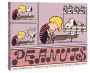The Complete Peanuts: 1963-1964 (Vol. 7) Paperback Edition