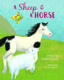 A Sheep and a Horse