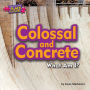 Colossal and Concrete : What Am I?