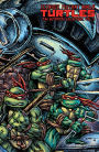 Teenage Mutant Ninja Turtles: The Ultimate Collection Volume 7